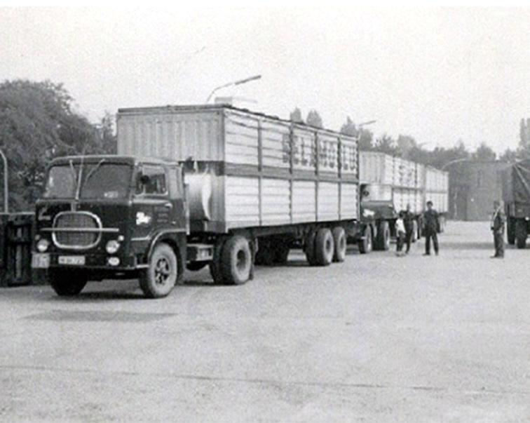 Tarihçemiz ve İlkelerimiz